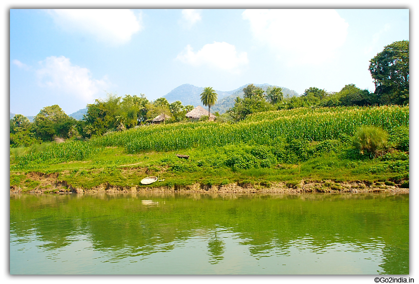Green around river banks 