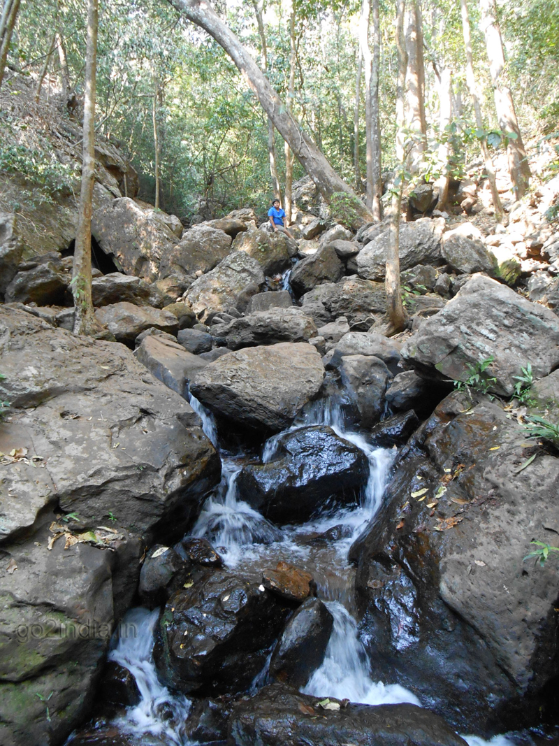 Amrutha Dhara Maredumilli
