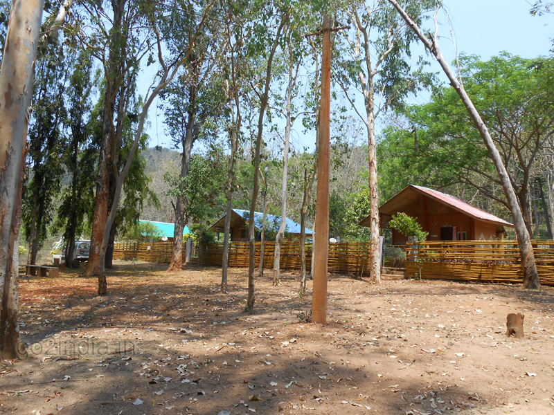 Around Bison cottages 