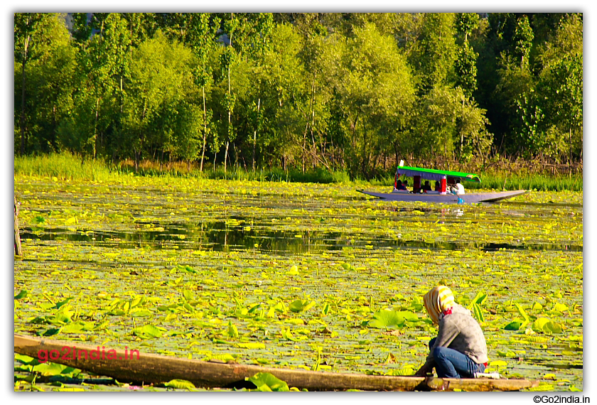 A boat and Shikara in Nagin Lake Srinagar