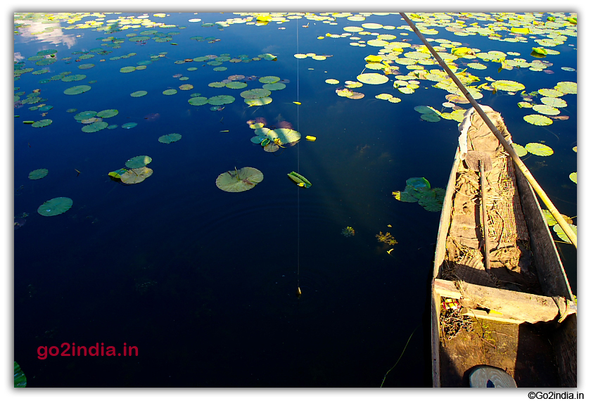 Boat with fish catching