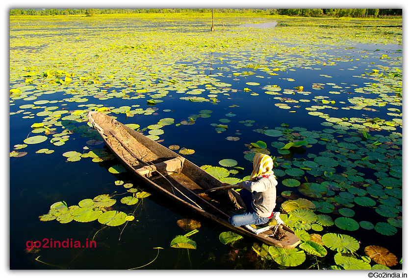 Fishing in Nagin Lake water