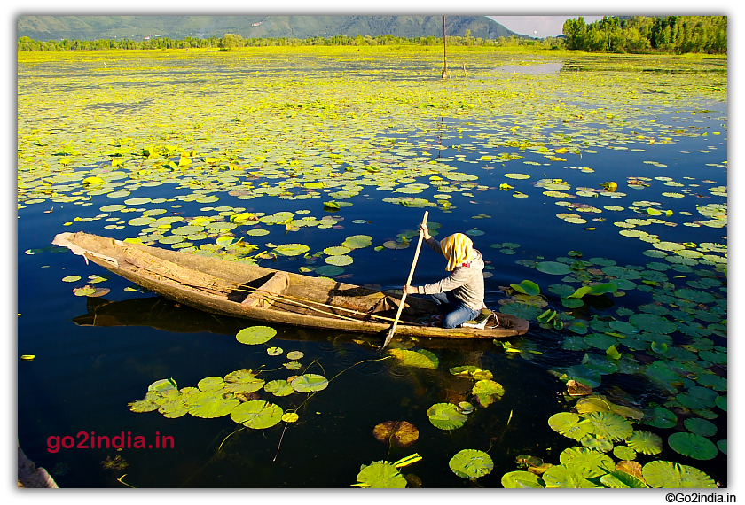 Going for a fish in Nagin Lake