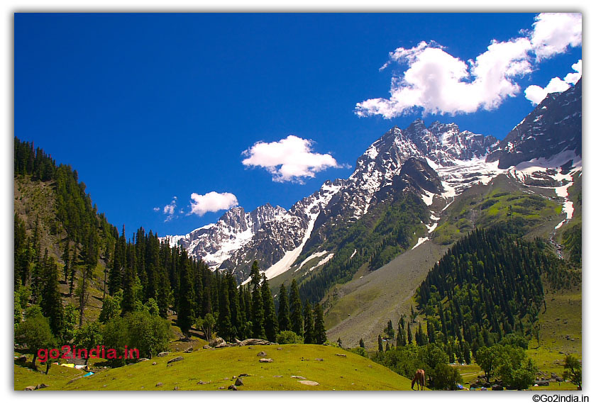 Snow hills around Sonmarg