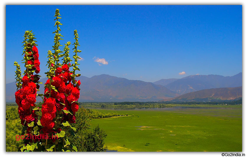Wular Lake is Asias Larget fresh water lake 