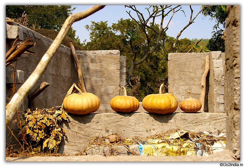 Local vegetables are available at Anathagiri 
