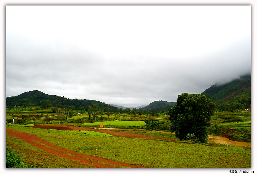 Green area around Araku valley