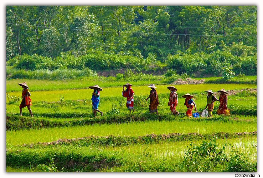 Going to field to work 