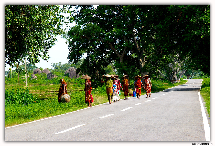 Group of ladies going to field 