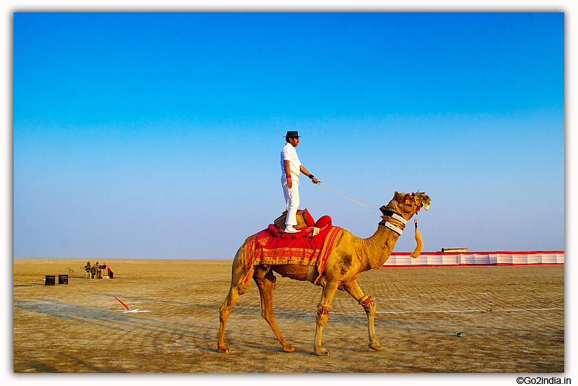 Circus on Camel back 