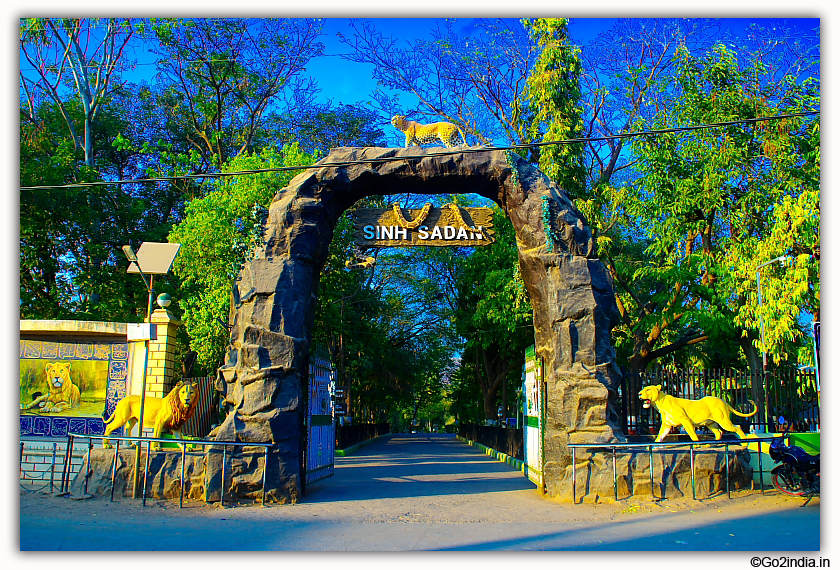 Sasan Gir Jungle Safari by Jeep