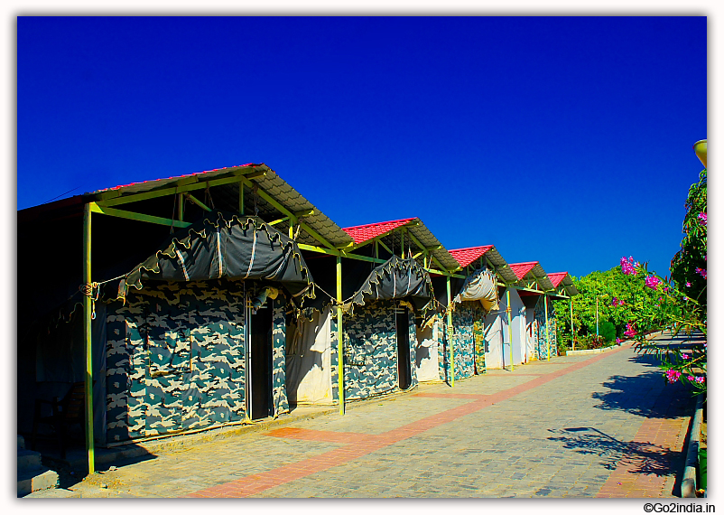 Sasan Gir Jungle Safari by Jeep