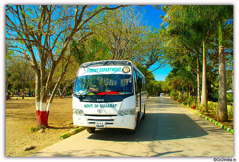 Sasan Gir Jungle Safari by Jeep