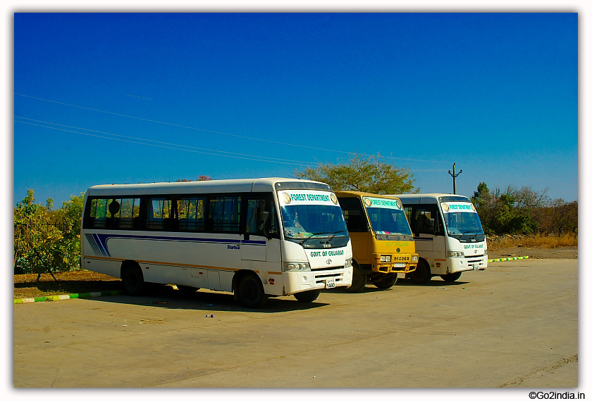 Sasan Gir Jungle Safari by Jeep