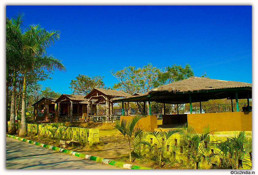 Sasan Gir Jungle Safari by Jeep