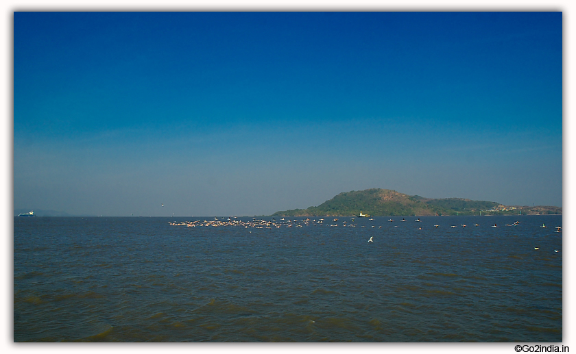 Elephanta Caves  distance view 