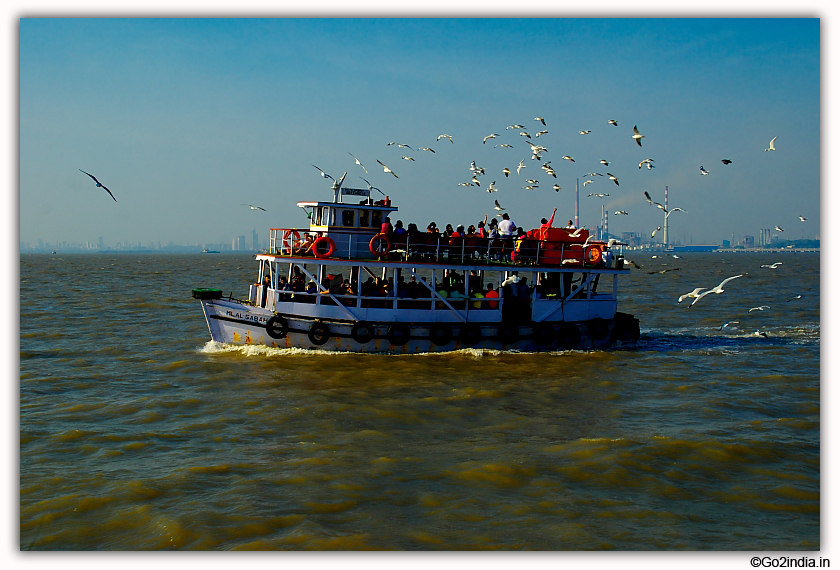 Elephanta Caves sea eagle birds 