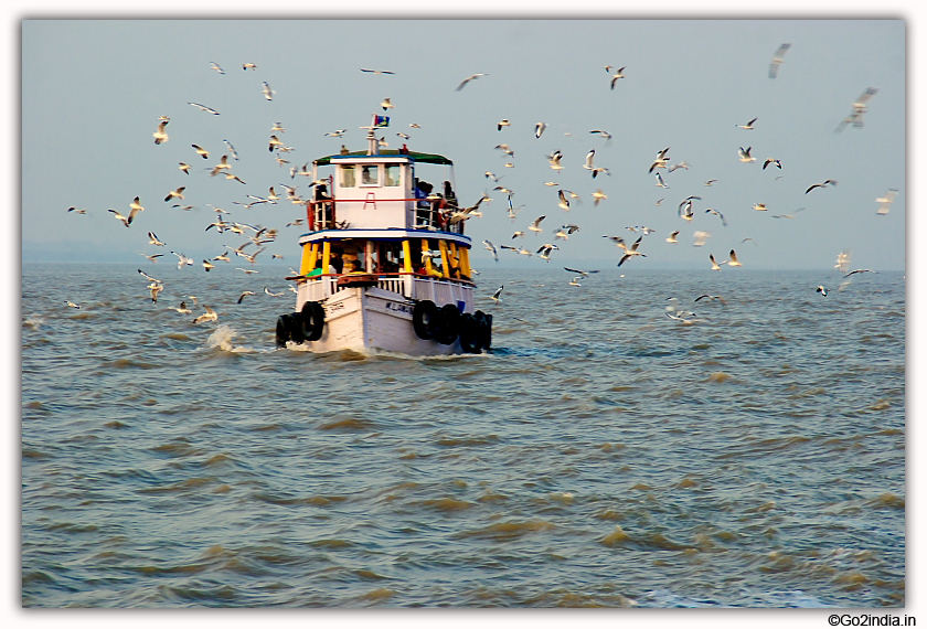 Elephanta Caves boats and birds 