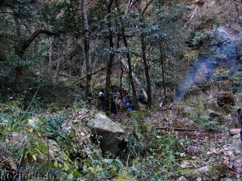 Inside jungle taking rest
