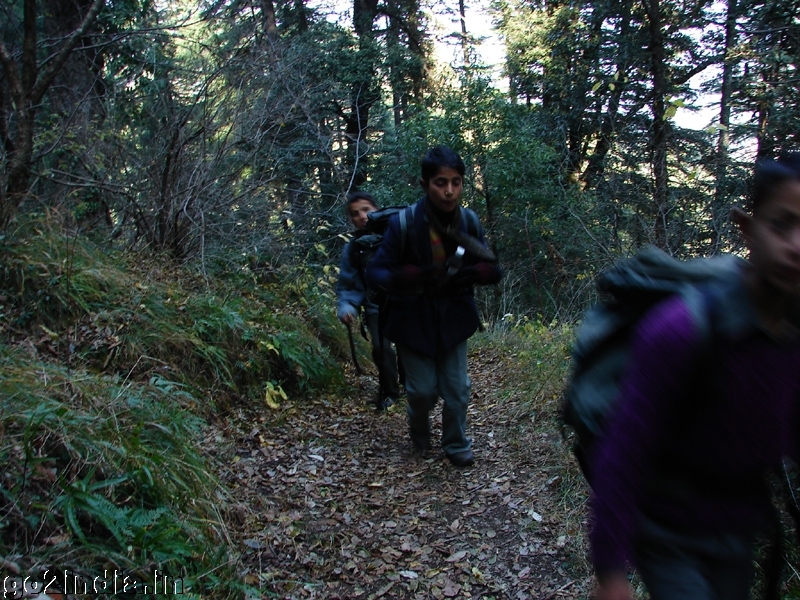 Kids carrying bags of some tired trekkers