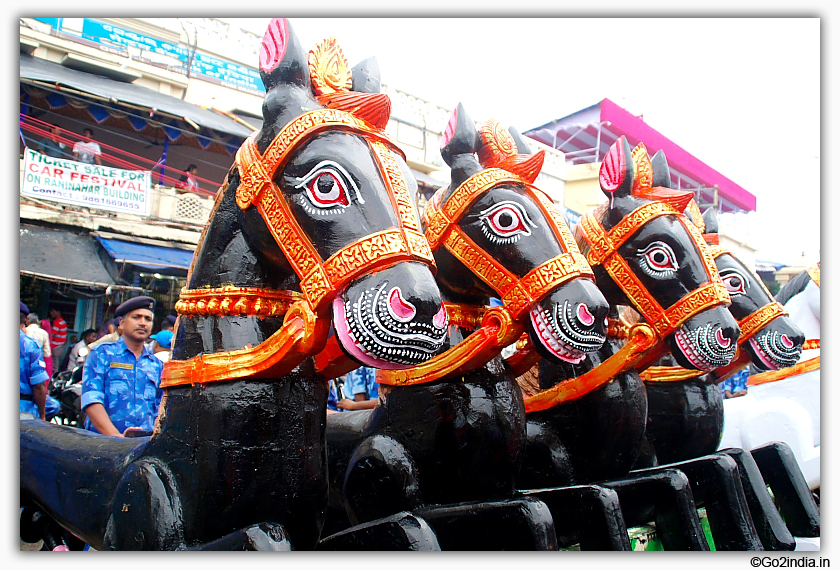 Car Festival horses to be fixed to Ratha 
