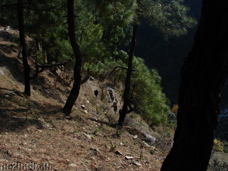 Khajjiar to Chamba trekking view