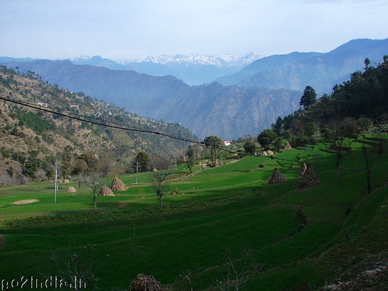 Road to Khajjiar
