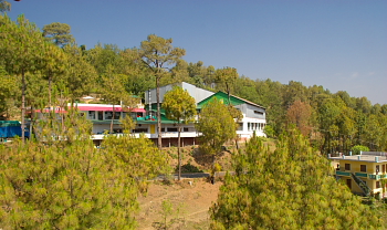 Kausani Tea Garden