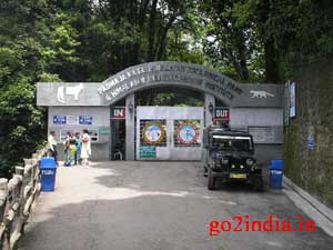 Darjeeling town